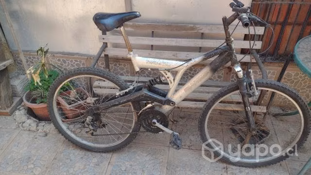 Bianchi Expert 3000 DSX 2018