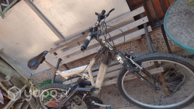 Bianchi Expert 3000 DSX 2018