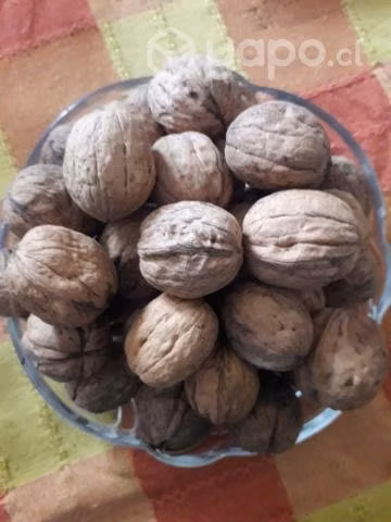 Nueces