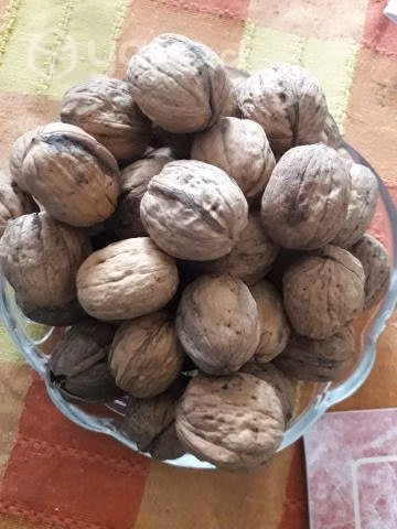Nueces