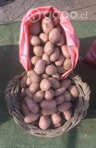 Papas sacos de 25 kilos a domicilio desde 8000