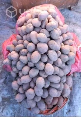 Papas sacos de 25 kilos a domicilio desde 8000 - Imagen 3