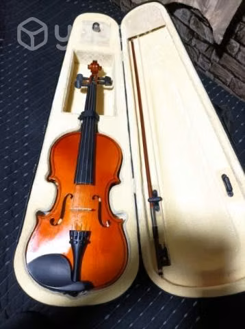 Violín