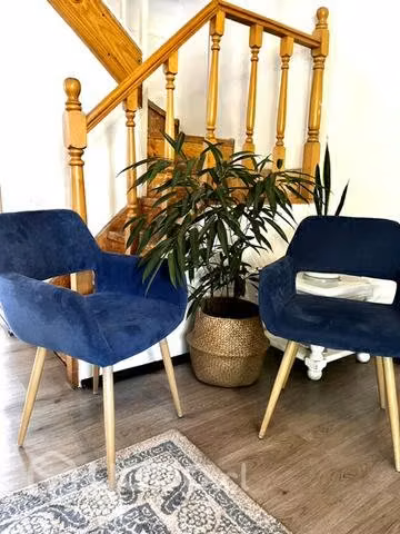 Pack sillas comedor tipo sitial