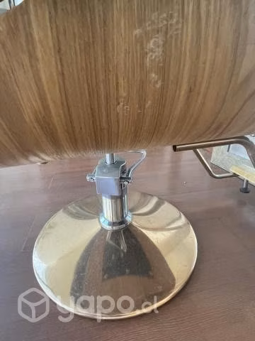Sillón Peluquería Hidráulico Silla Para Corte
