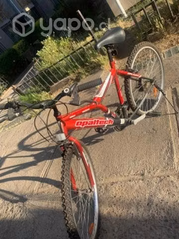 Bicicleta Roja Opaltech