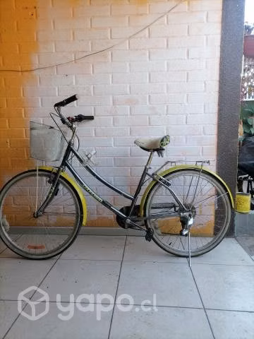 Vendo o permuto por montan bike mujer