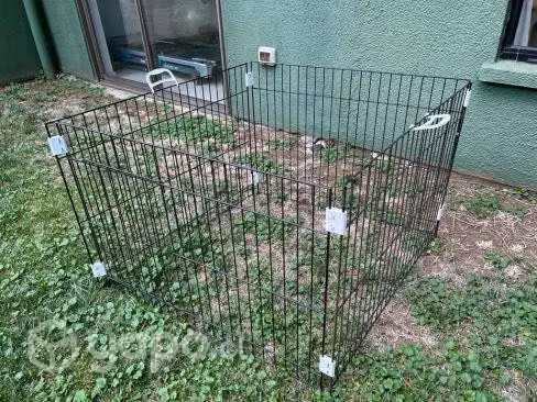 Reja para perro - Imagen 3