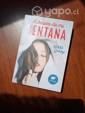 Libro "A traves de mi Ventana"