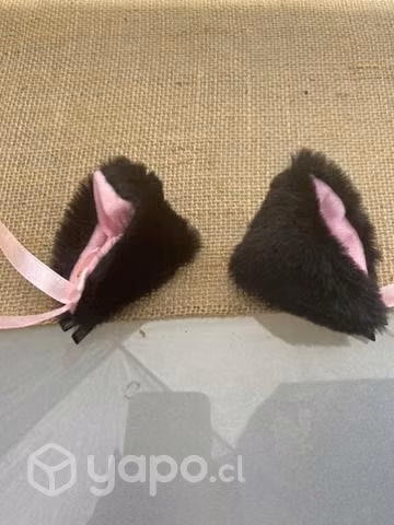 Pinche, orejas de gato