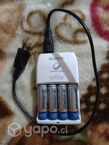 Cámara dsc-h100 + cargador de pilas y pilas