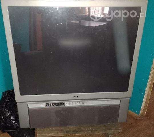 TV Antigua - Imagen 2