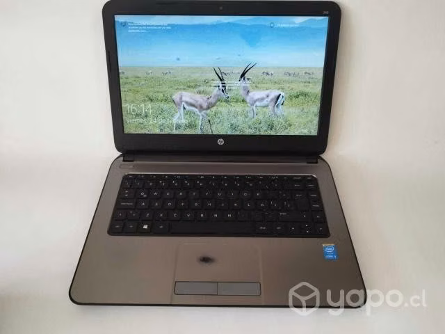Notebook HP