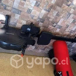 Remadora domyos