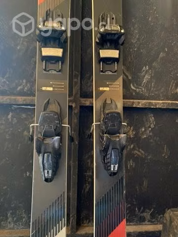 Skis volki