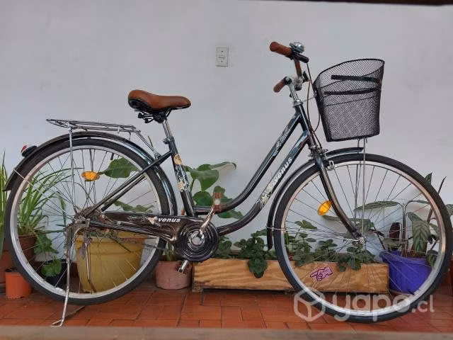 Bicicleta playera Oxford Venus