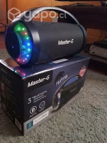 Radio Maste G Panter 3