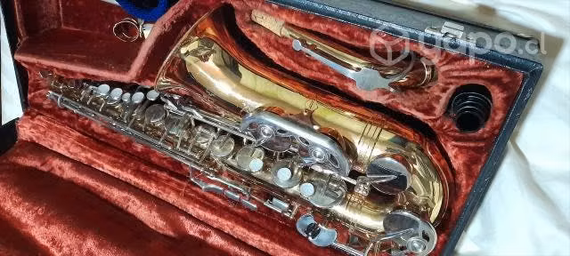 Saxo Vito