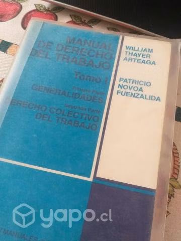 Manual derecho del trabajo