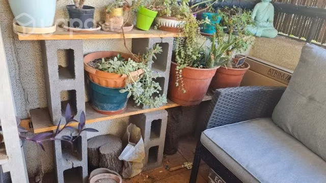 Se regalan 5 bloquetas y dos tablas de pino