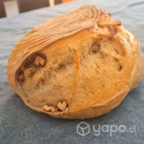 Hogaza Masa Madre