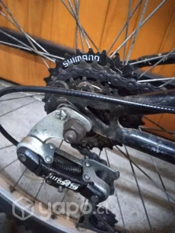 Bicicleta Bianchi