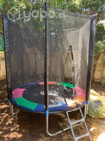 Cama elástica Junior