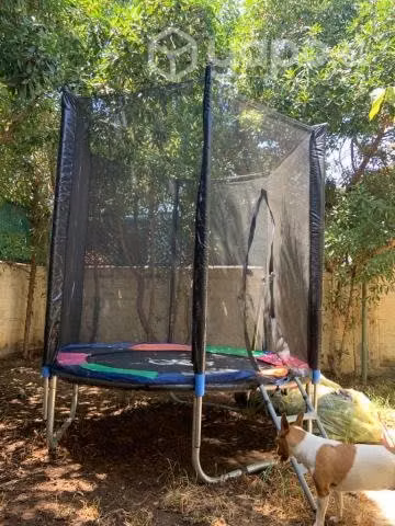 Cama elástica Junior