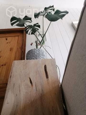 Plinto o Pedestal de madera nativa - Imagen 6