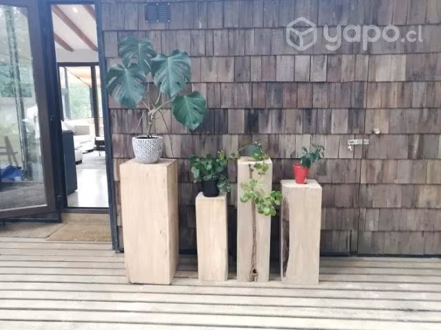 Plinto o Pedestal de madera nativa