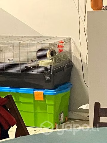 Jaula para cobaya dos niveles