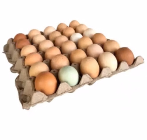 huevos de campo