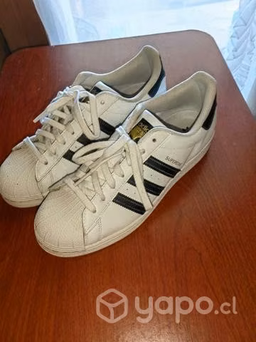 Adidas super star