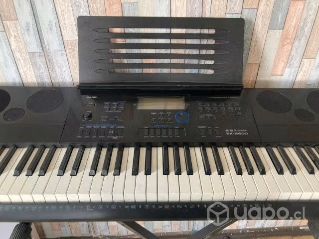 Teclado Cassio wk-6600