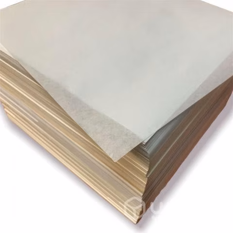 Papel Mantequilla O Cecinero 100hojas 25 x 25