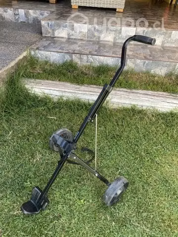 Palos de golf junior y carro de arrastre