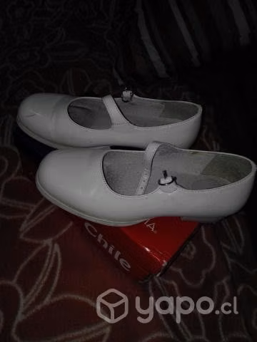 Zapato cueca numero 33