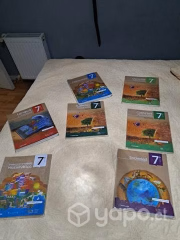 Pack de libros santillana todos juntos 7°basico