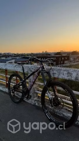 Raw kapra 27.5