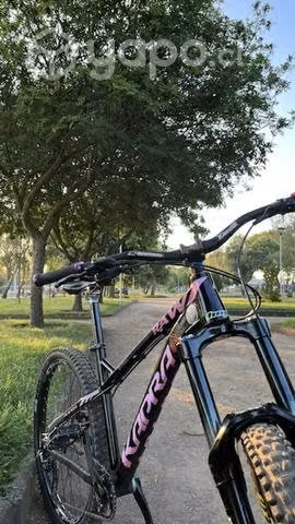 Raw kapra 27.5