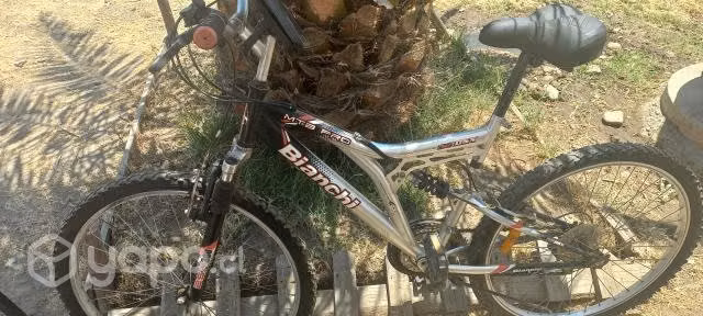 Bici