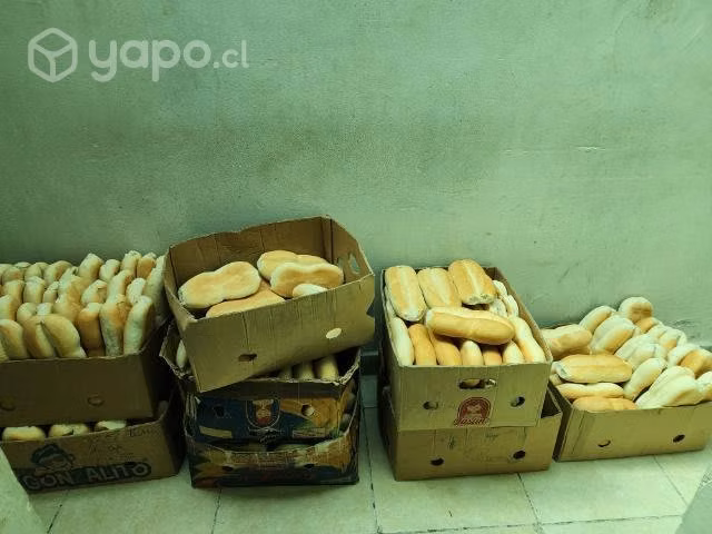 Derecho panaderia