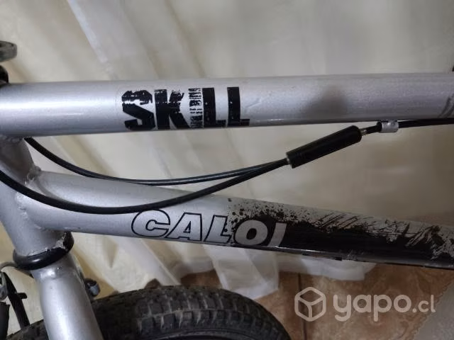 Bicicleta profesional