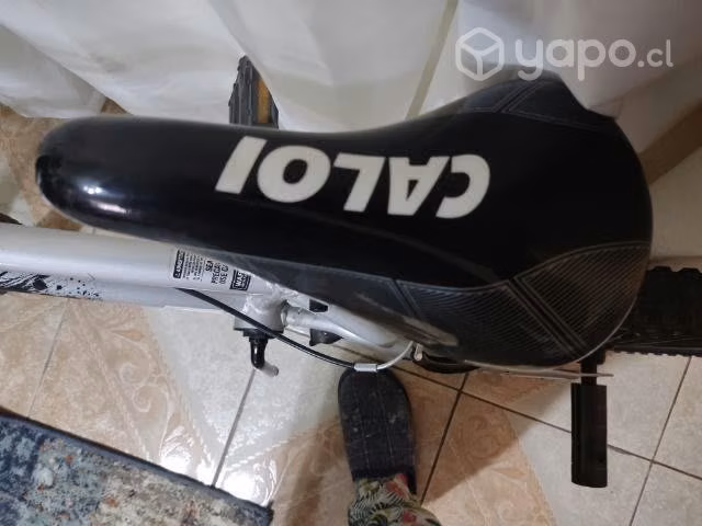 Bicicleta profesional