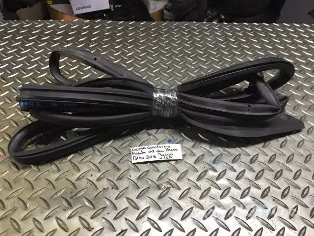 Goma contorno puerta delantera derecha Mazda BT50