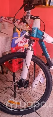 Bicicleta RAM