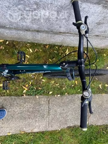 Bicicleta Lahsen - Quillay - Imagen 5
