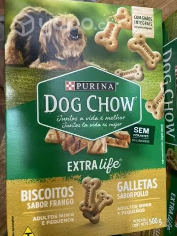 Galletas Dog Show