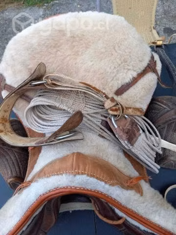 Montura para caballo - Imagen 2