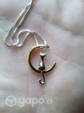 Collar gato sobre la luna